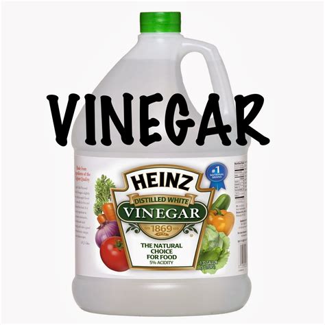 Two Men and a Little Farm: LEMON JUICE AND VINEGAR FIRE ANT KILLER