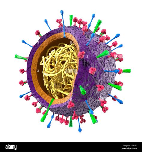 Colored particle of Flu virus H1N1 H5N1 influenza A virus - virion ...