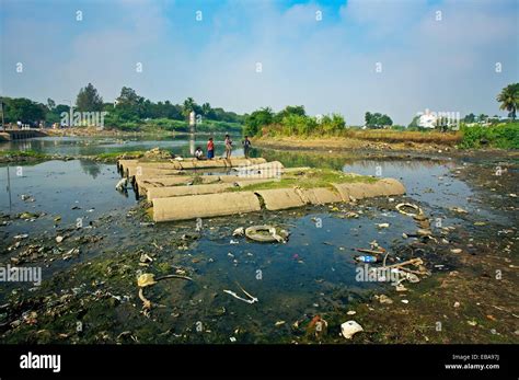 Polluted river, Chennai, Tamil Nadu, India Stock Photo - Alamy