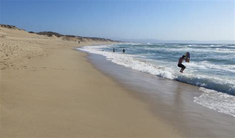 Marina State Beach, Marina, CA - California Beaches