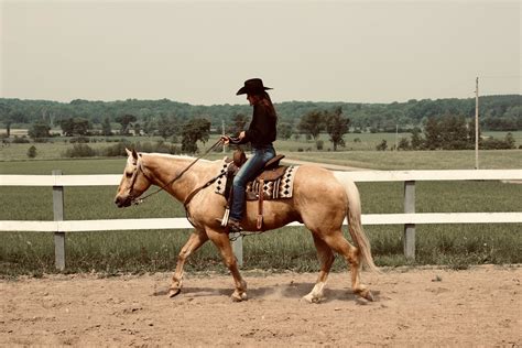 T&J Equine Training, LLC