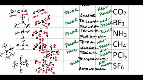 Vsepr Molecular Models Lab Answer Key