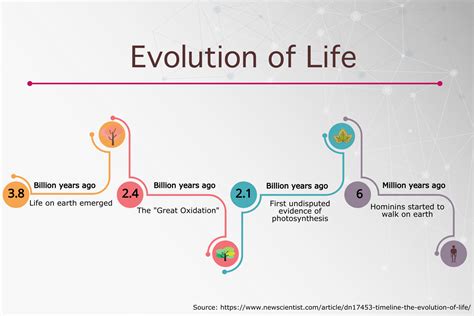 Evolution of life timeline infographic - Simple Infographic Maker Tool by Easelly