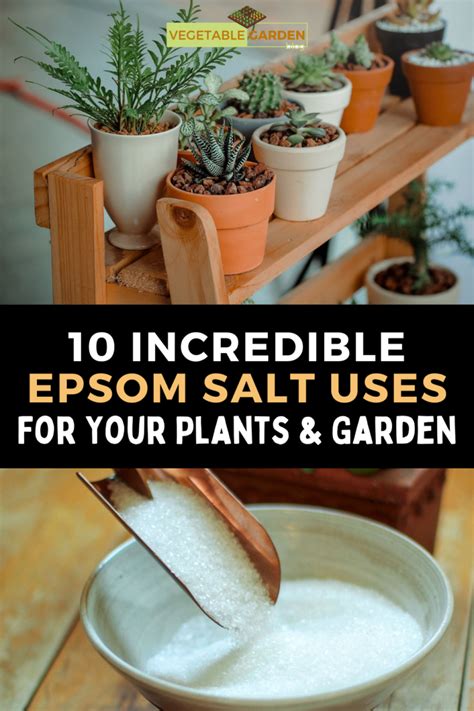 10 Incredible Epsom Salt Uses For Your Plants & Garden