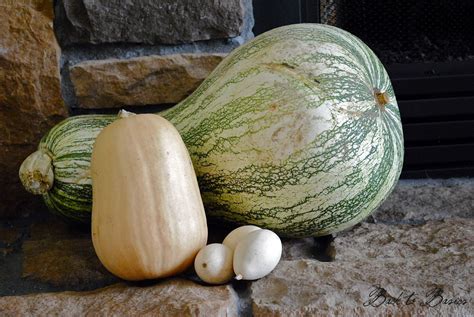 Back to Basics: Gourds and Squash