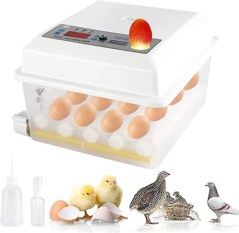 Buy YaeCCC Egg Incubator, Automatic Egg Hatching Incubator Temperature ...