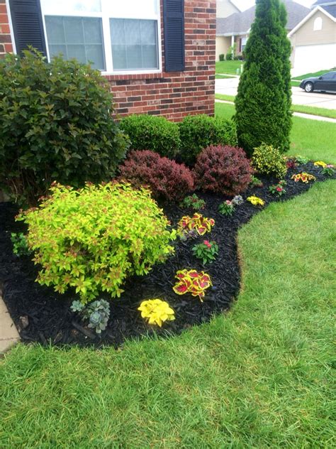 Beautiful flowerbed! Black Mulch made a big difference! | Small front yard landscaping, Garden ...