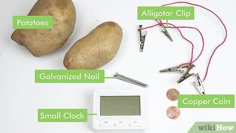 How to Create a Potato Battery: 13 Steps (with Pictures) - wikiHow