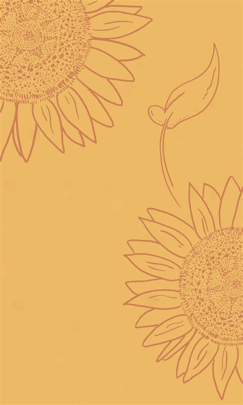 Download Sunflower Background | Wallpapers.com