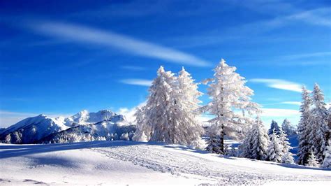 Winter HD Landscapes New Age Music HD Video - YouTube