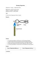 Burning Magnesium Experiment | Teaching Resources