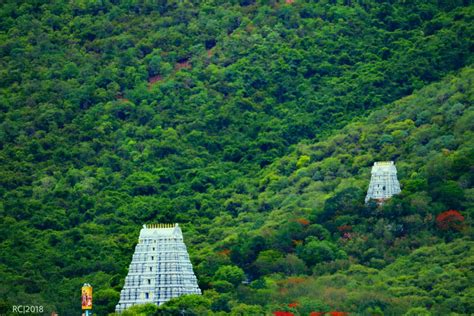 Top 86+ about tirumala hills hd wallpapers - Billwildforcongress