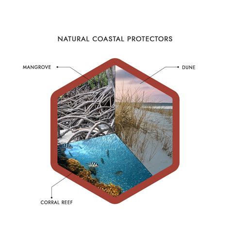 What Is Coastal Protection Structures? & Its Importance