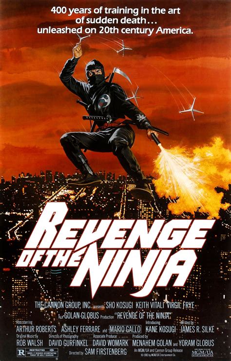 Vtg 'ENTER THE NINJA' Kill Machine Old Cinema FIlm Display Poster w ...