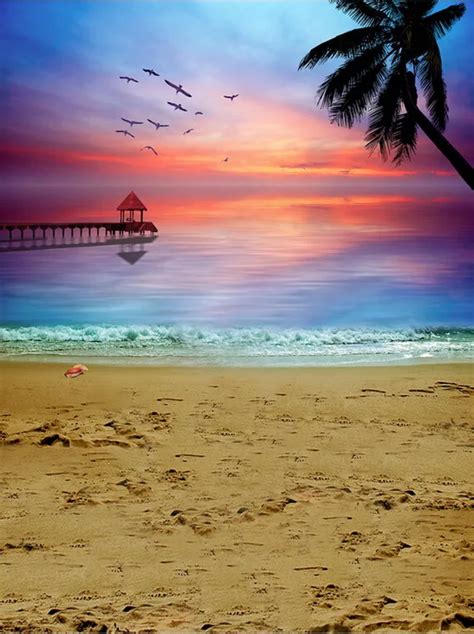 Sea Sandy beach pafty Sunset Photography Backgrounds Vinyl cloth High ...