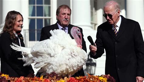 Turkey Pardon 2023: Joe Biden saves Liberty, Bell from Thanksgiving ...