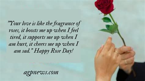 Rose Day Quotes, Wishes and Messages - AGP News