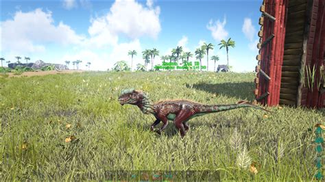 Image - ARK-Dilophosaurus Screenshot 006.jpg | ARK: Survival Evolved ...