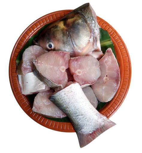 Silver Carp (1.5kg+) - Fish Mart