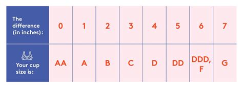 Cup Breast Size Chart Pictures