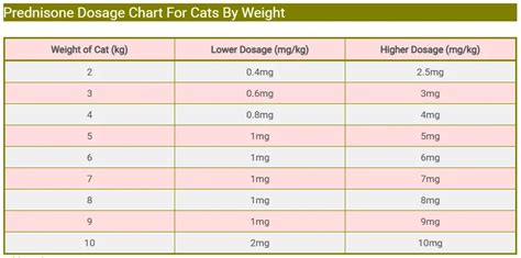 Prednisone Dosage For Cats: Uses, Benefits & Side Effects