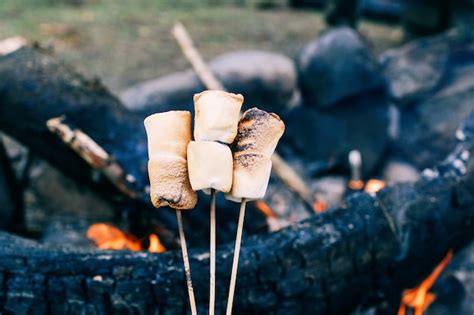 Marshmallow on a stick over the fire cooking marshmallows on fire ...