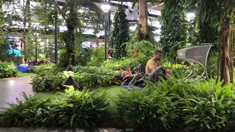 Doha, Qatar 02.01.2024 Garden with Tropical Plants Inside Hamad International Airport in Doha ...