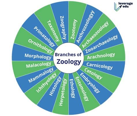 Branches of Zoology: Specialisations, Programs & More - Leverage Edu