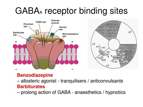 PPT - Receptors and transduction mechanisms - I PowerPoint Presentation - ID:5143312