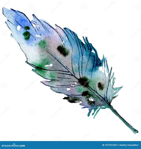 Watercolor Bird Feather from Wing Isolated. Stock Illustration - Illustration of flight, fashion ...