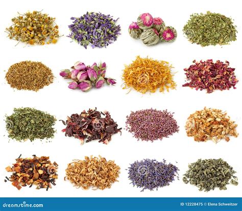 Flower And Herbal Tea Collection Royalty Free Stock Photo - Image: 12228475