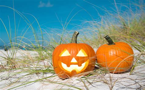 Fall Festivals in Florida: Pinellas County - Plumlee Gulf Beach Realty