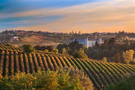 5 Interest Facts About Piedmont Region in Italy • Alba Wine Tour