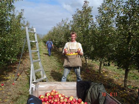 Picking apples | Foto | Jantje Mondfrans’s reisblog