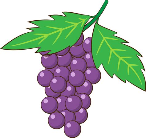 Grape Clipart