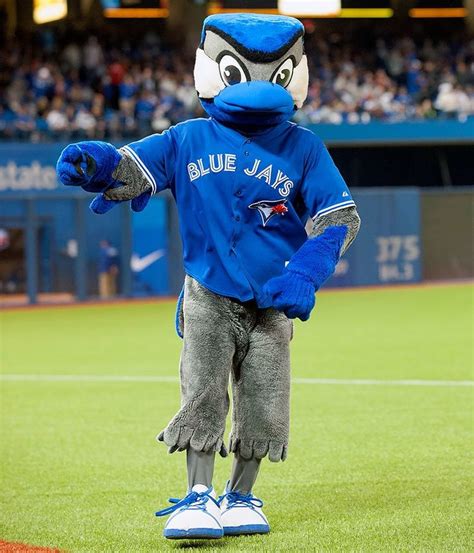 Mascot, Blue jays, Major league baseball teams