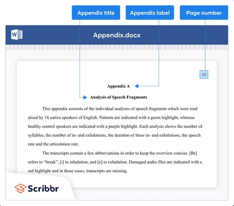 Understanding Appendices In A Paper: A Brief Guide