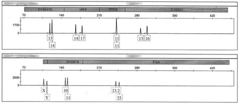 How Forensic DNA Evidence Can Lead to Wrongful Convictions - JSTOR Daily | Dna, Forensics ...