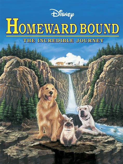 Homeward Bound: The Incredible Journey - Movie Reviews and Movie Ratings - TV Guide