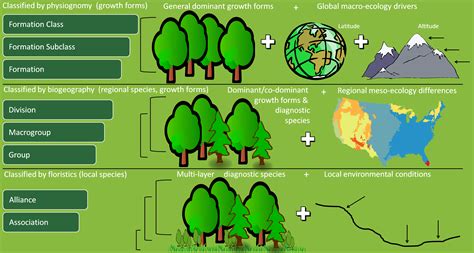 Natural Vegetation Classification – The U.S. National Vegetation ...