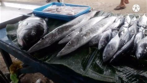 💙 A Day in Talipapa/Fish Market | Varieties of Fish | Fish for Sale | w/ our Dear Customers ...