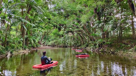 11 Ways to Experience the Spectacular Daintree Rainforest