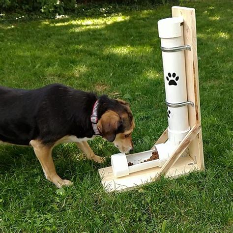 How to Make a DIY Automatic Dog Feeder | Family Handyman