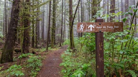 Juan de Fuca Trail: Essential Information – Hiking Is Good