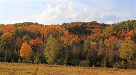 Experience a Virtual Fall Color Tour in Leelanau County [PHOTOS]