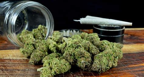 Marijuana for Recreational Purposes - Florida Independent