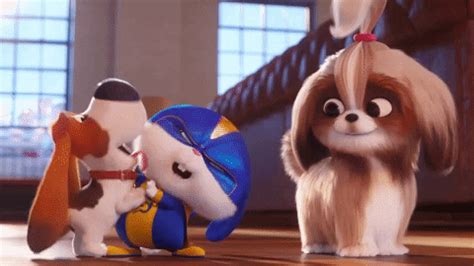 The Secret Life of Pets 2 (2019) – Movie Reviews Simbasible