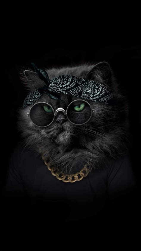 Gangster Cat Wallpapers - Wallpaper Cave