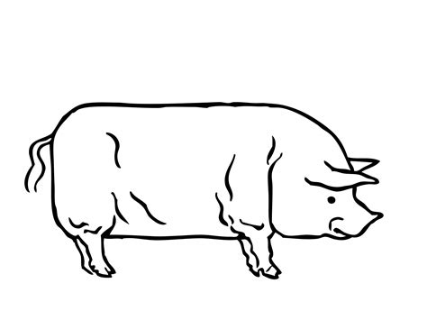 Pig Outline Clipart Free Stock Photo - Public Domain Pictures
