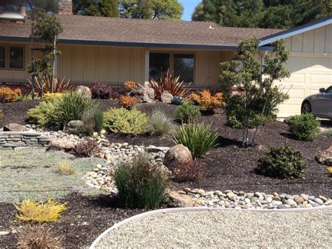 xeriscape landscaping ideas front yard - Felisa Shell